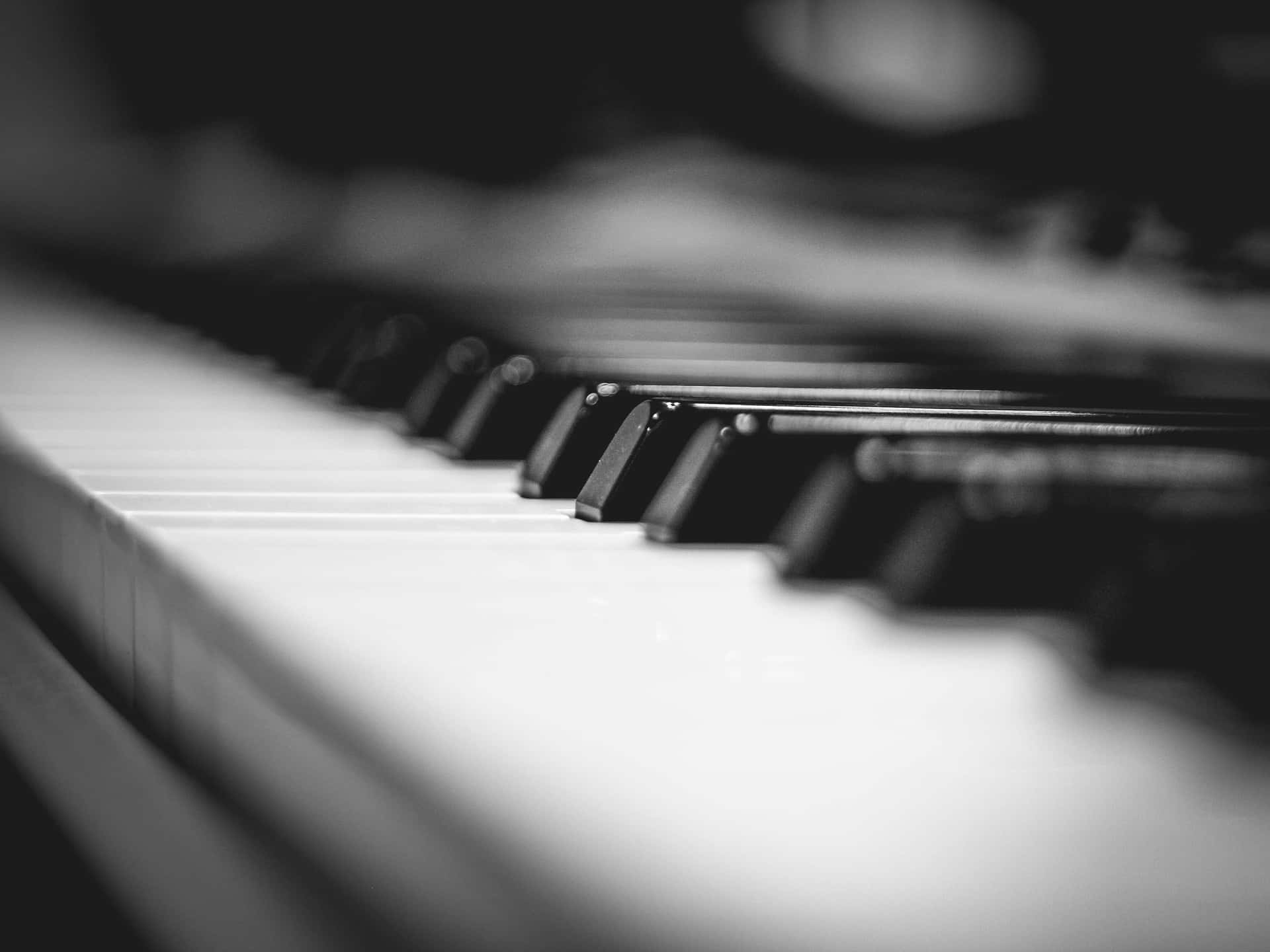 Black And White Piano Keyboard Musical Instrument Background