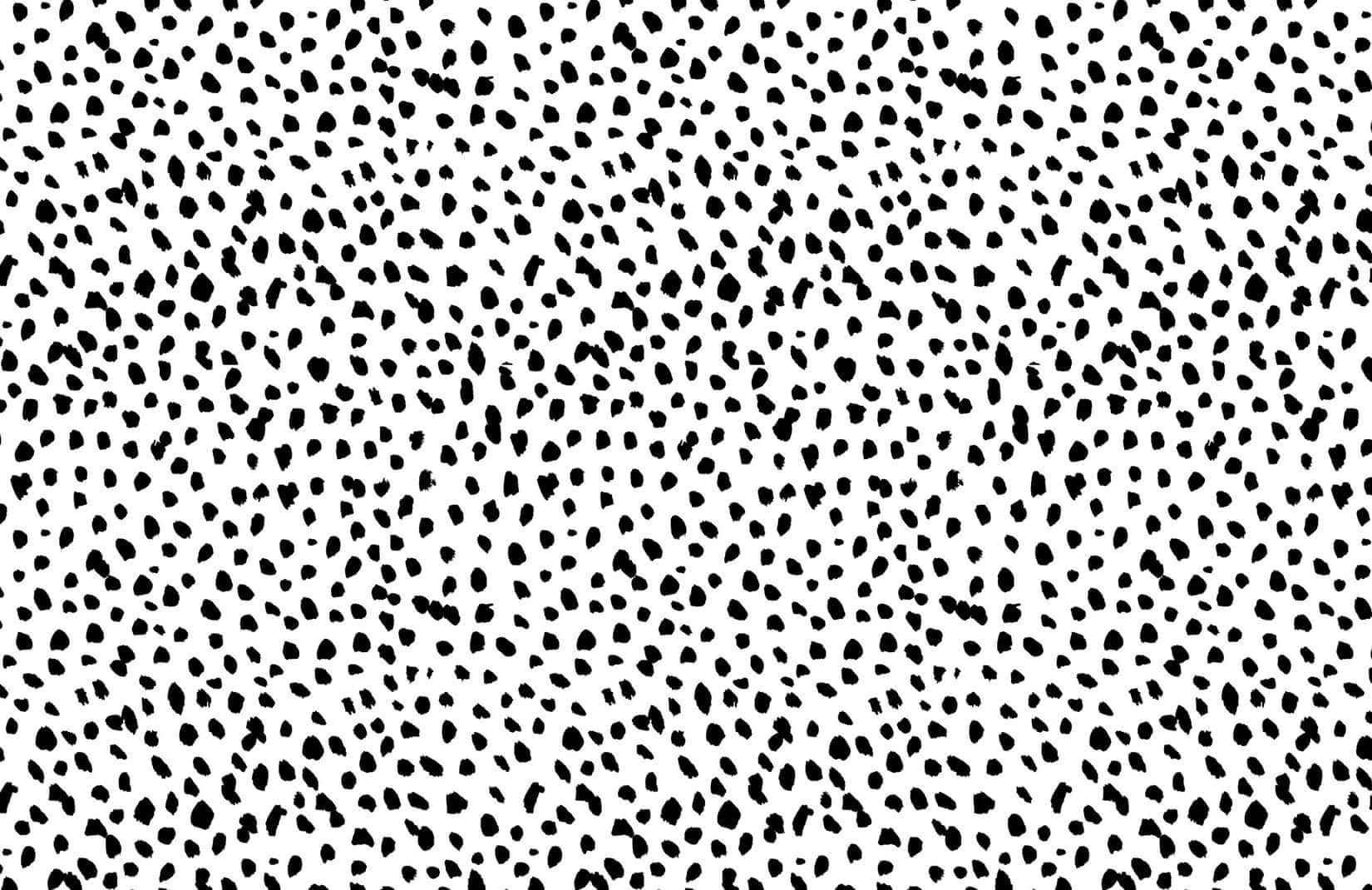 Black And White Polka Dot Pattern Background