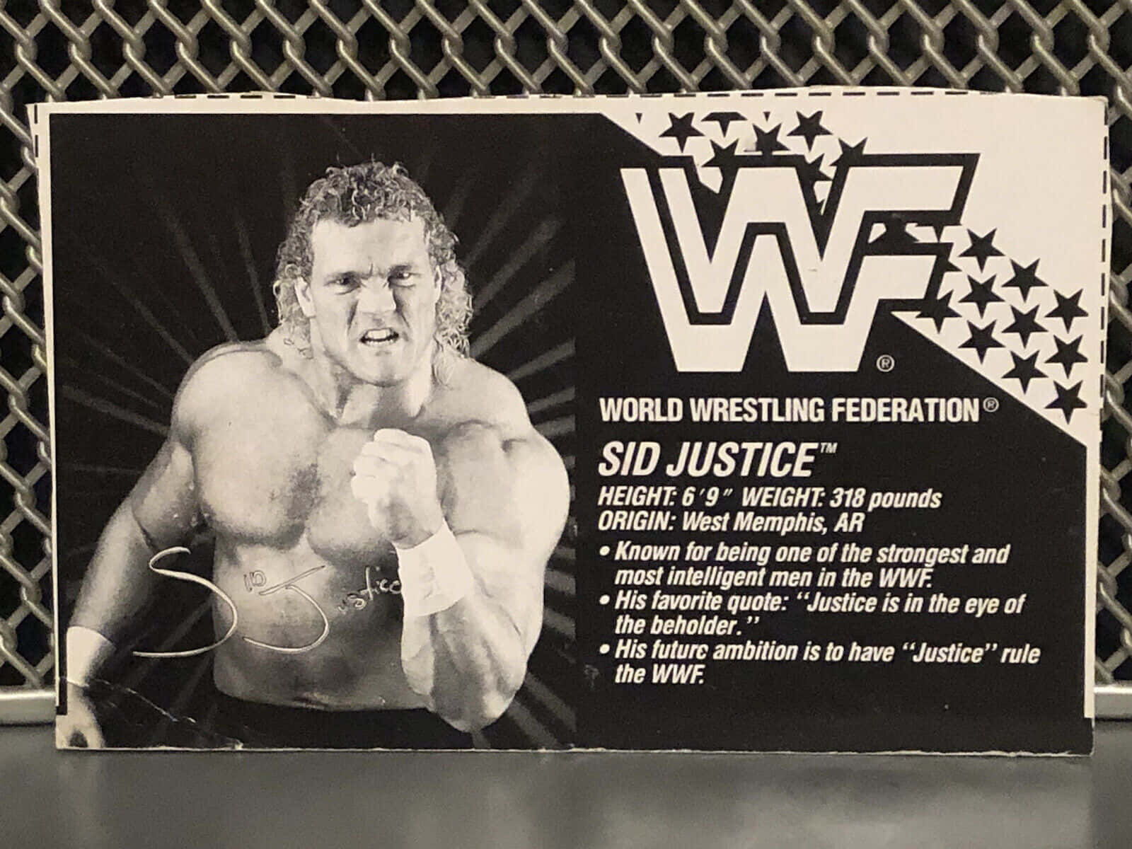 Black And White Poster Of Sid Vicious Wwf Background