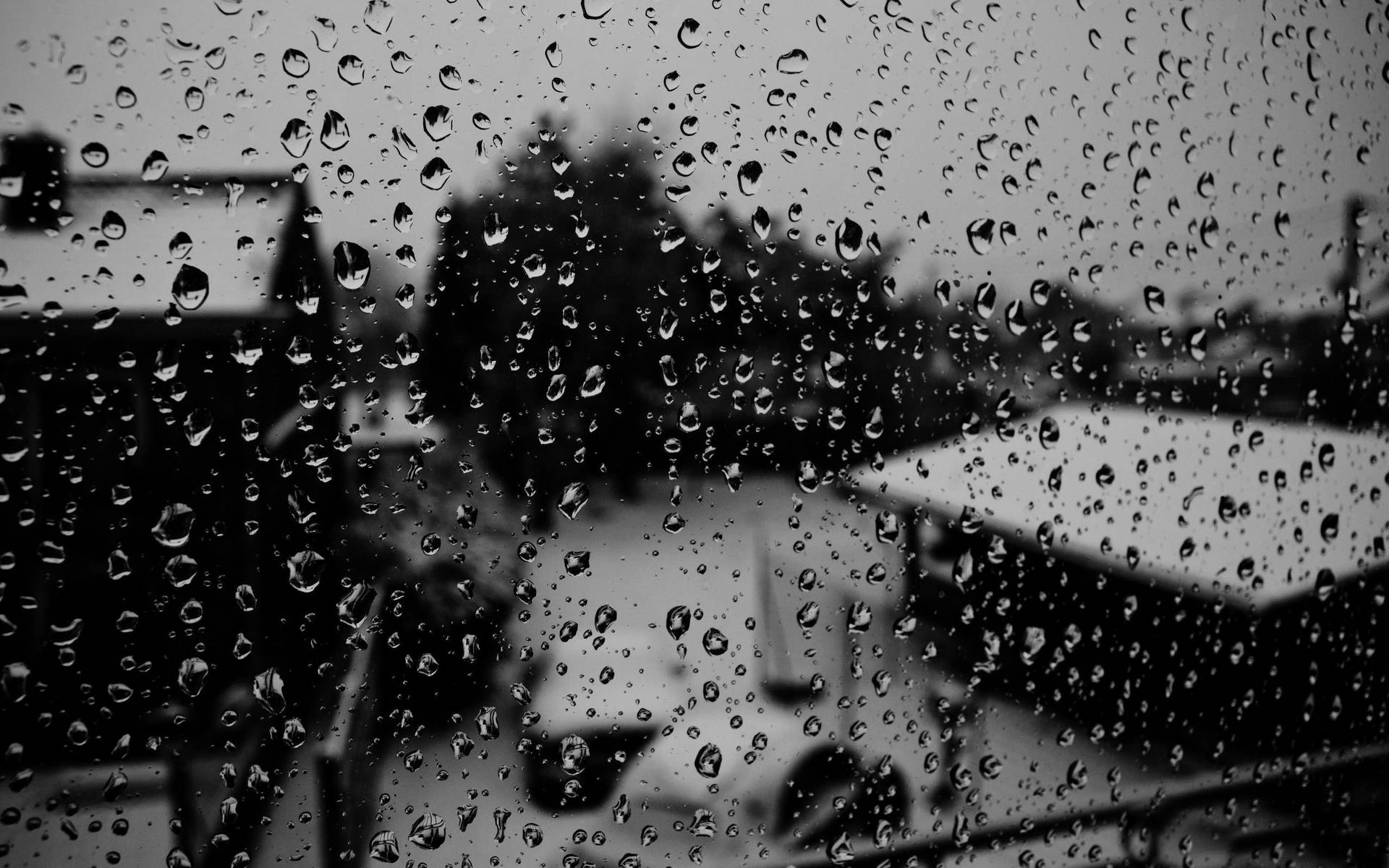 Black And White Raindrops On A Glass Surface Background