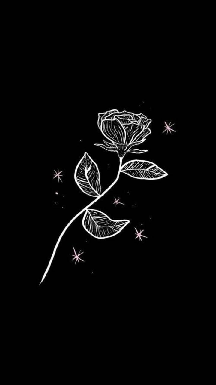 Black And White Rose Aesthetic Sketches Background