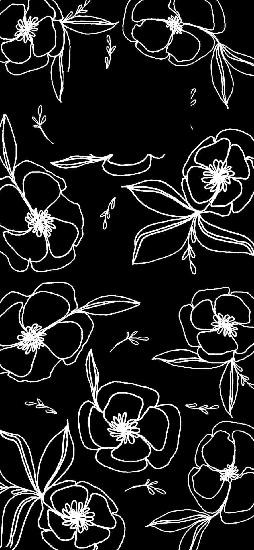 Black And White Sketch Line Flower Iphone Background