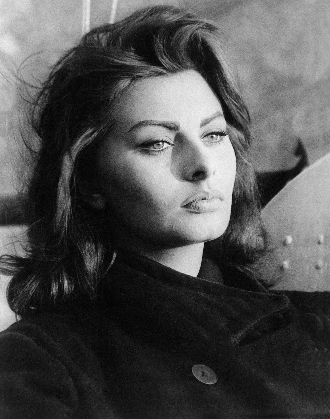 Black And White Sophia Loren Background