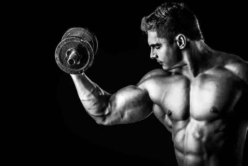 Black And White Stock Hd Bodybuilders Background