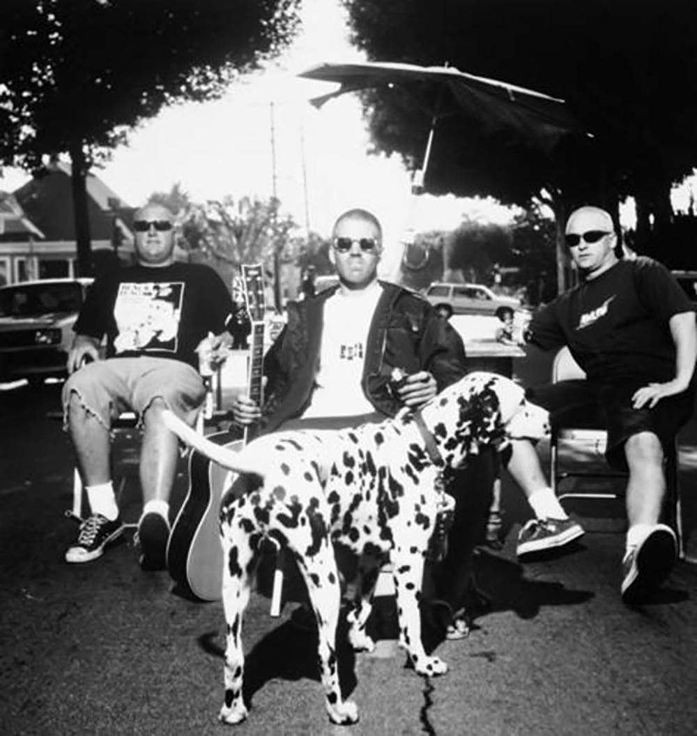 Black And White Sublime With Dalmatian Background