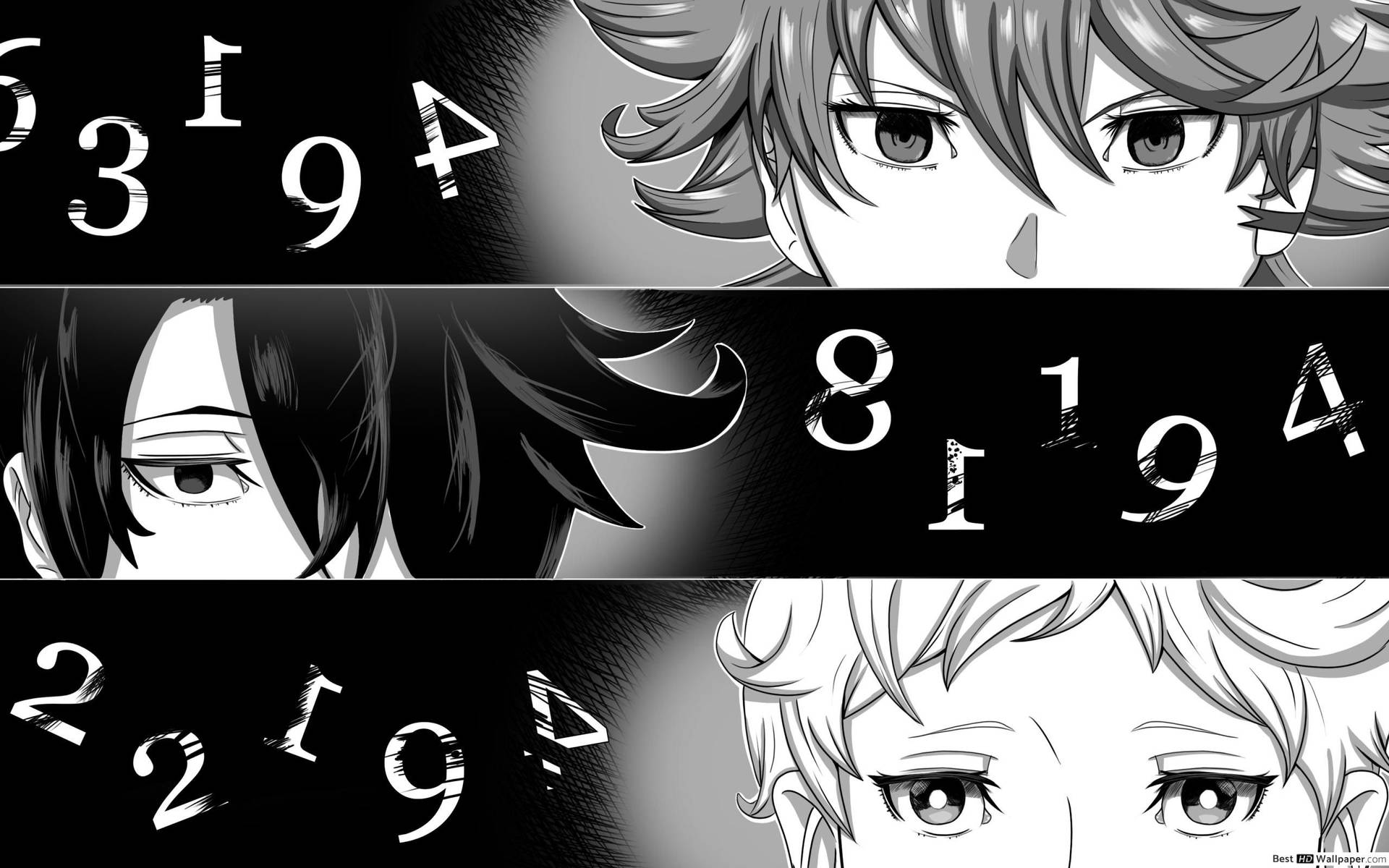 Black And White The Promised Neverland Background