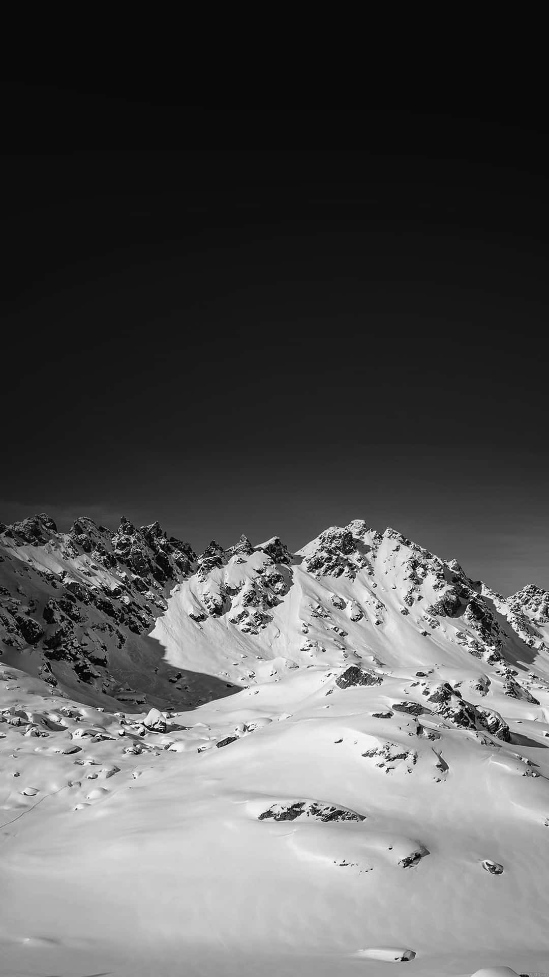 Black And White Winter Iphone 6 Plus Background