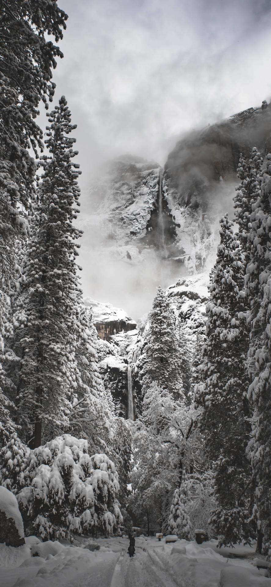 Black-and-white Yosemite Iphone Background