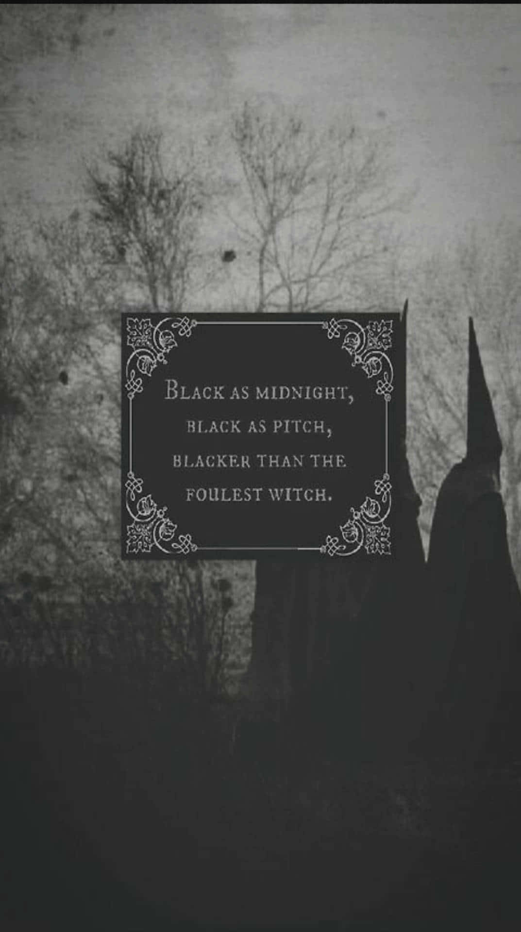 Black As Midnight Black Witch Black Witch Black Witch