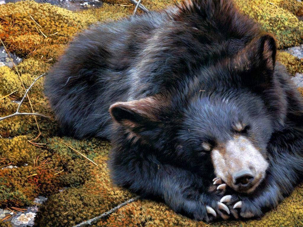 Black Bear Cute Painting Background