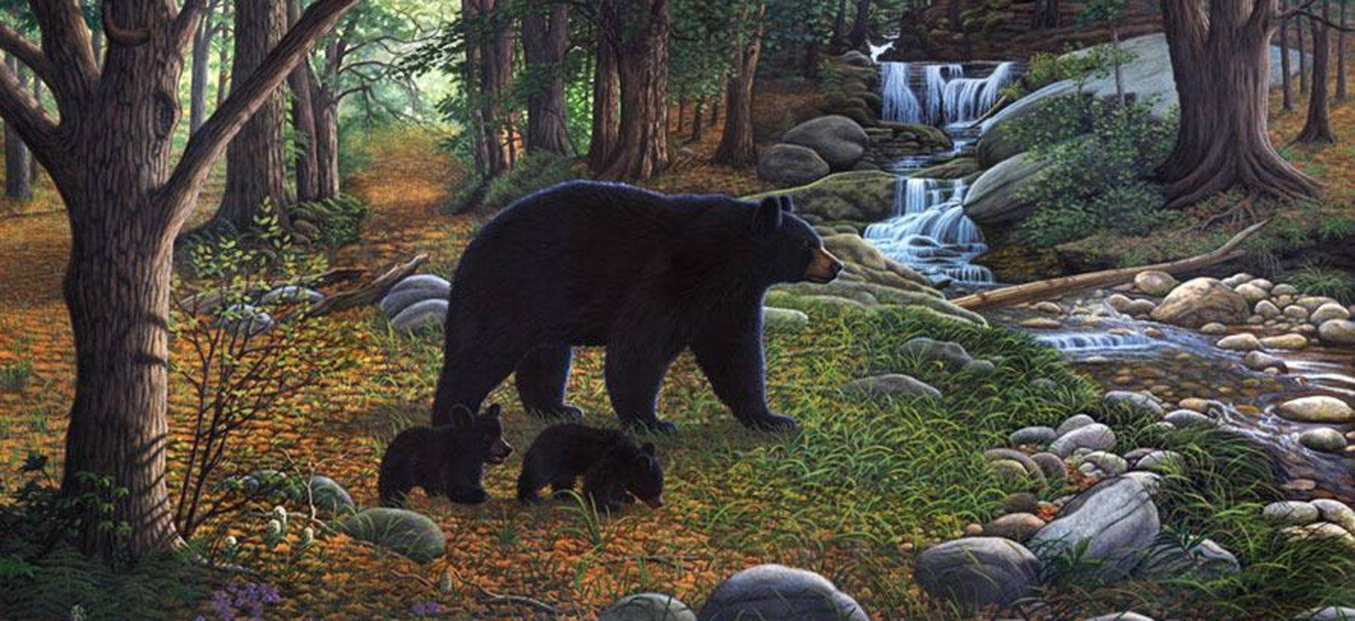 Black Bear Family Painting Background