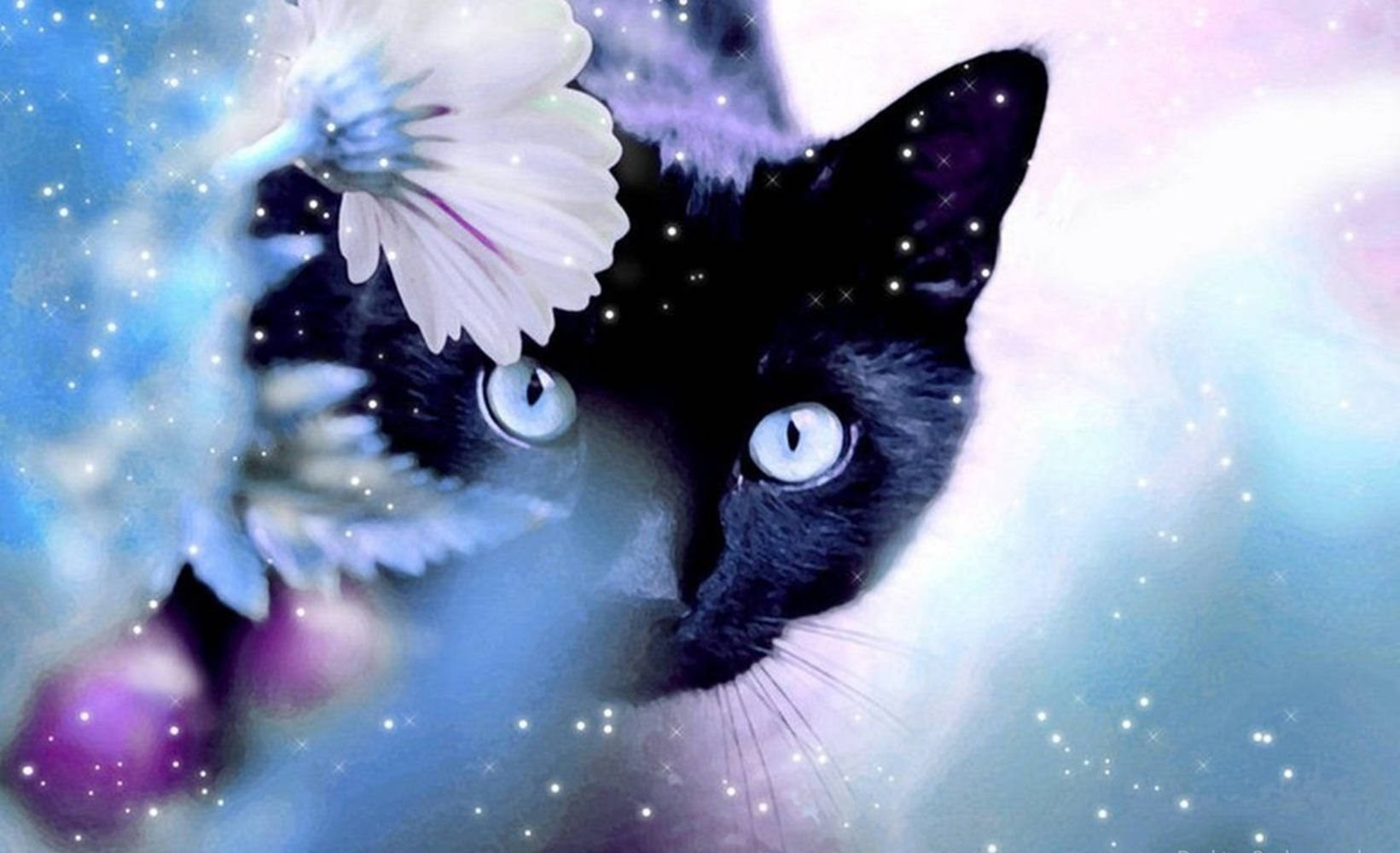 Black Beautiful Cat With Flower Background