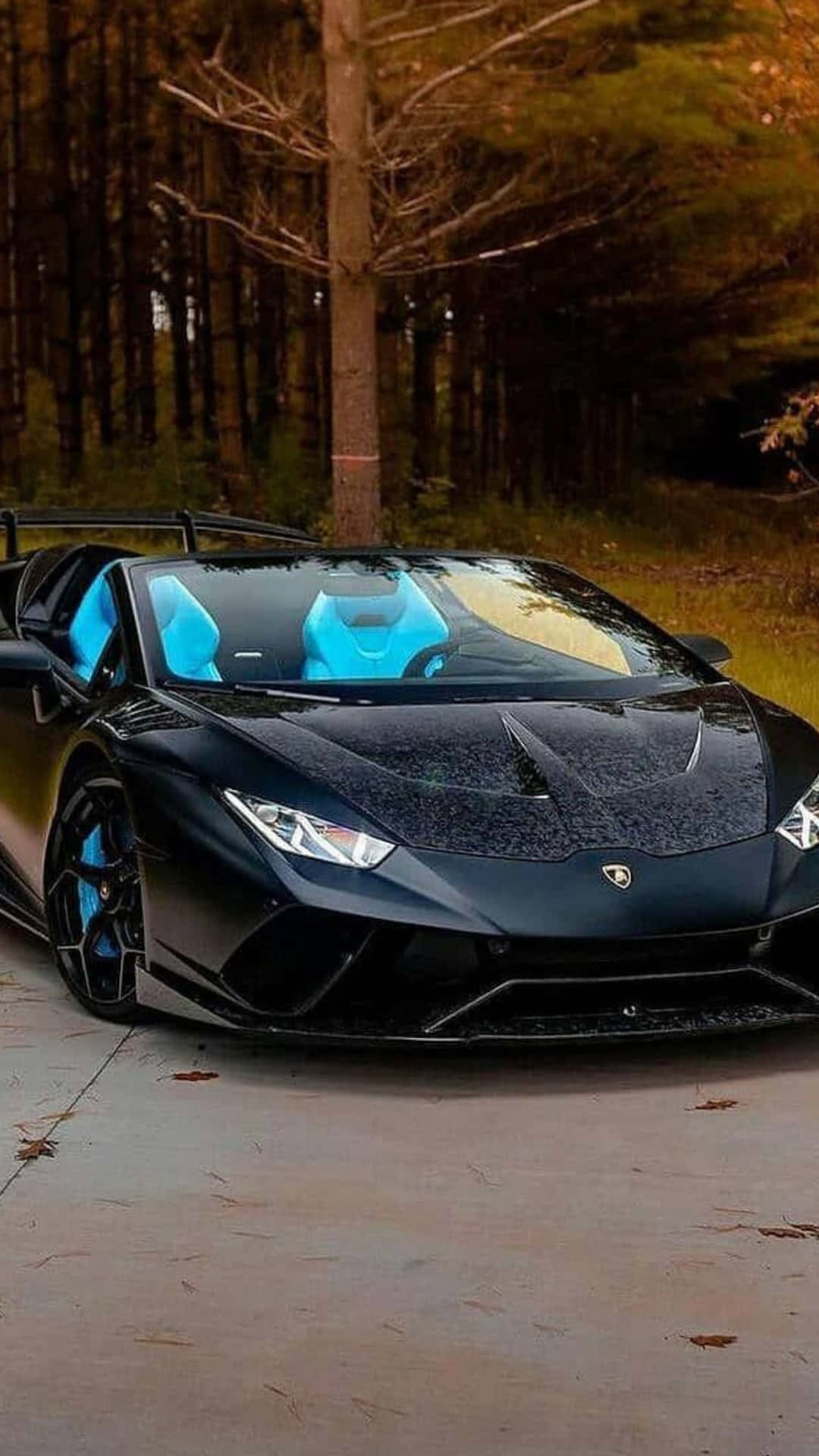 Black Blue Neon Lamborghini Forest Road.jpg Background