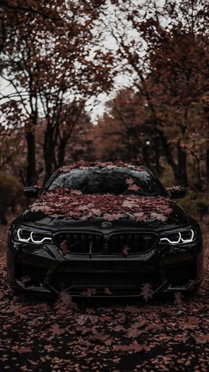 Black Bmw M Covered With Leaves Background