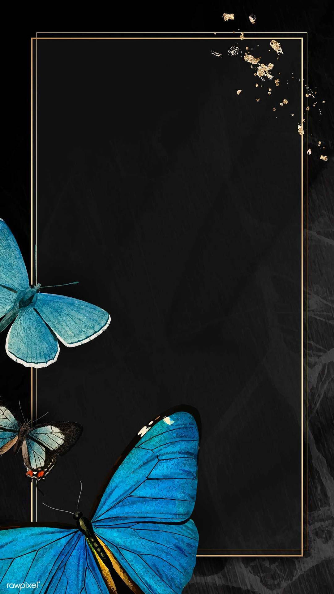Black Butterfly Aesthetic Background