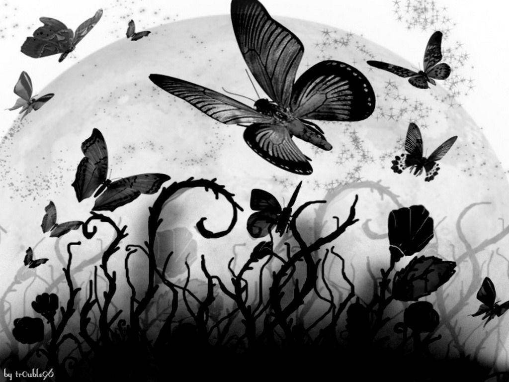 Black Butterfly Flying Over Abstract Plants Background