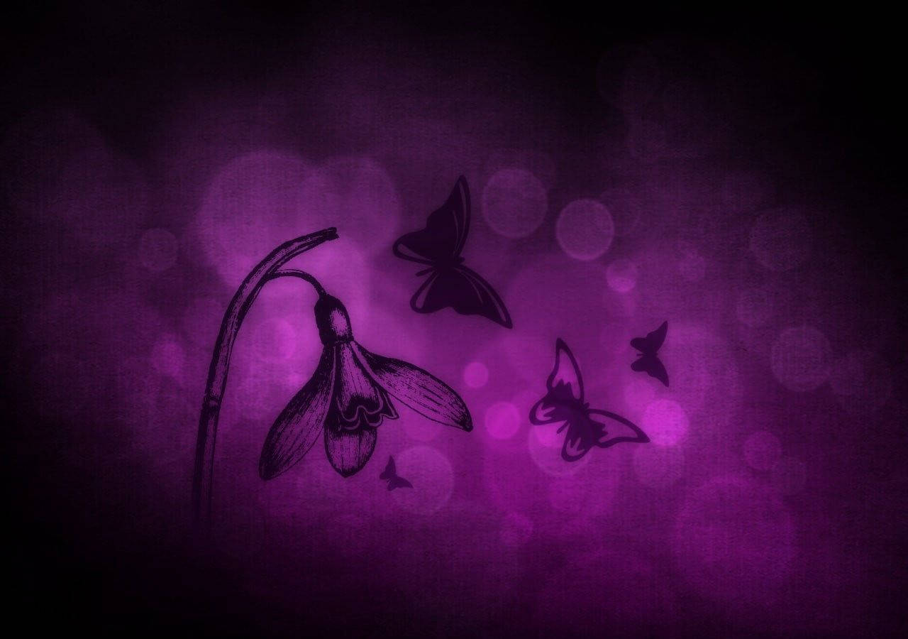 Black Butterfly Graphics Bowing Down Flower Background