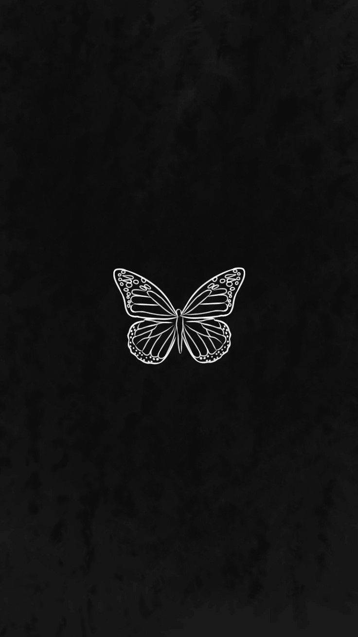 Black Butterfly In Dark Backdrop Background