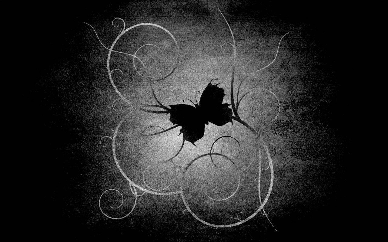 Black Butterfly On Curvy Abstract Lines Background