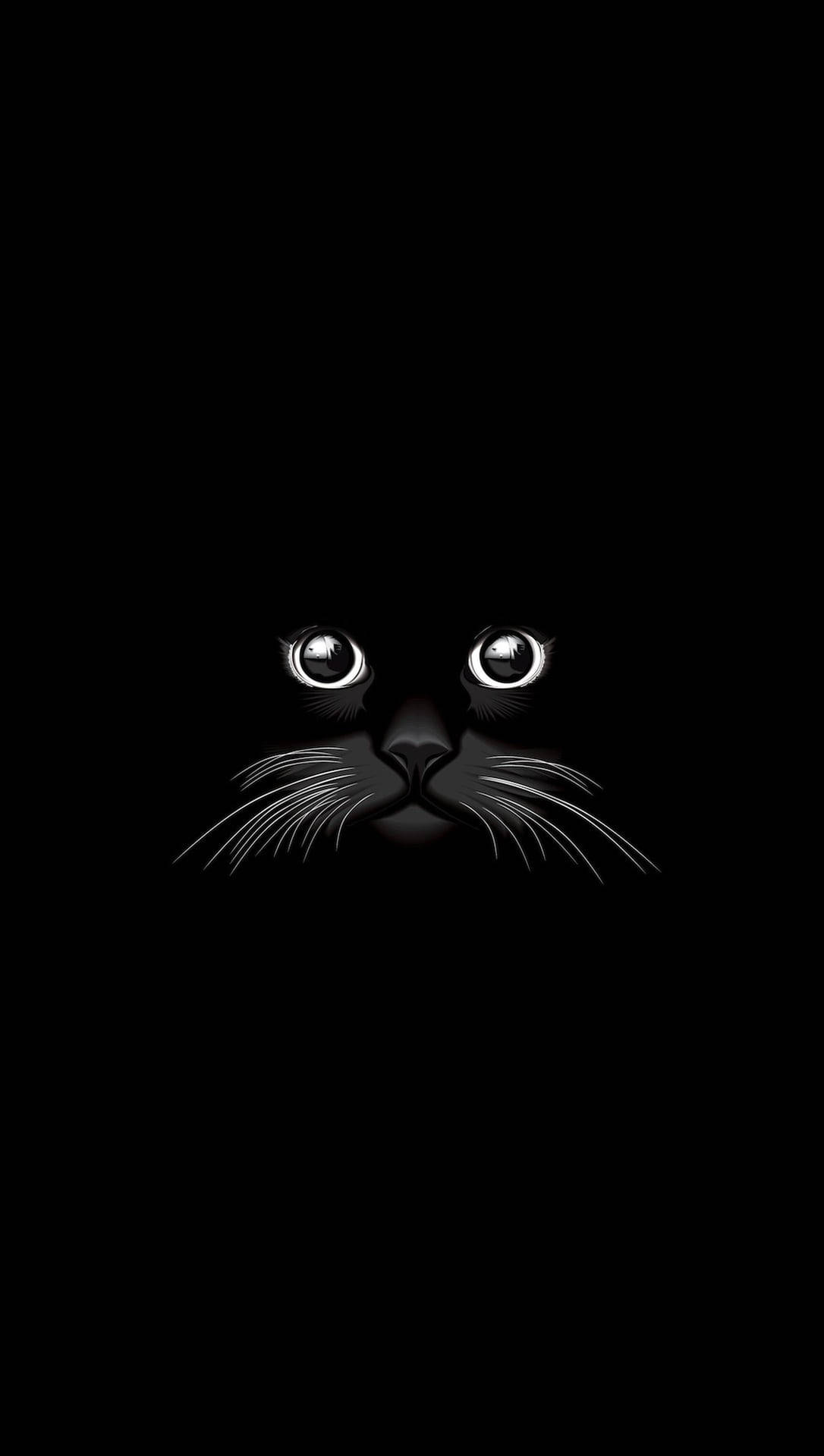 Black Cat On Samsung Device Background