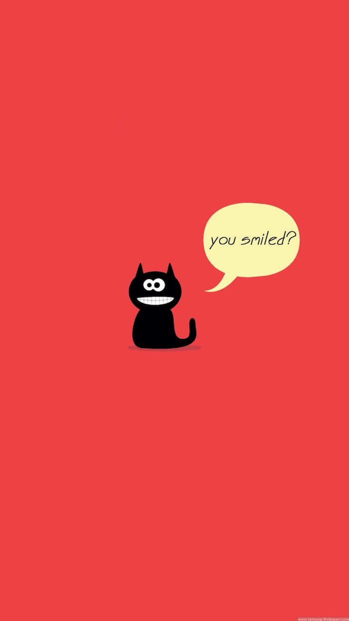 Black Cat With A Hilarious Smile Background