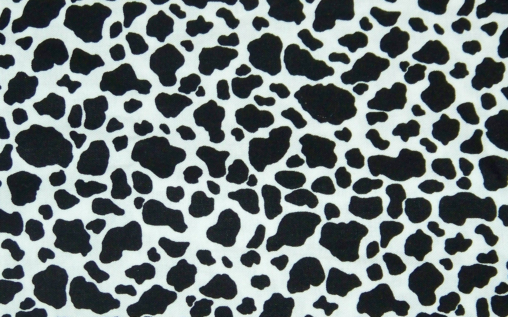 Black Cow Patterns Background