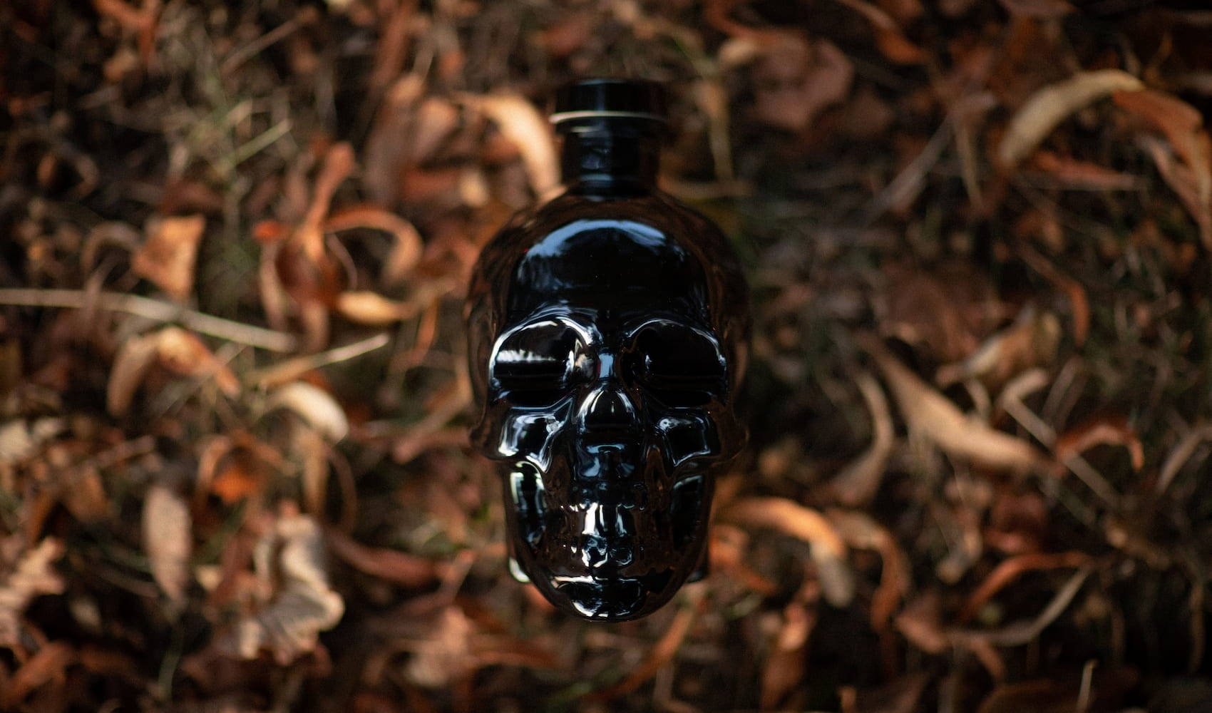 Black Crystal Head Vodka On Dried Leaves Background