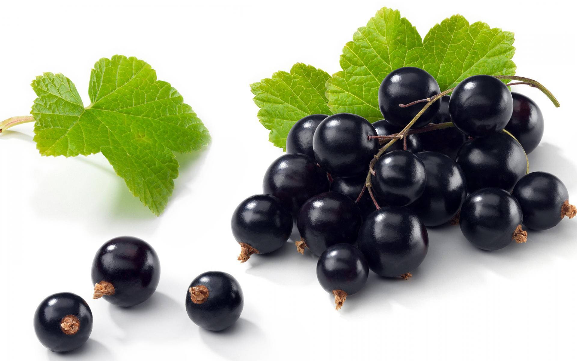 Black Currant Berries Healthy Fruit