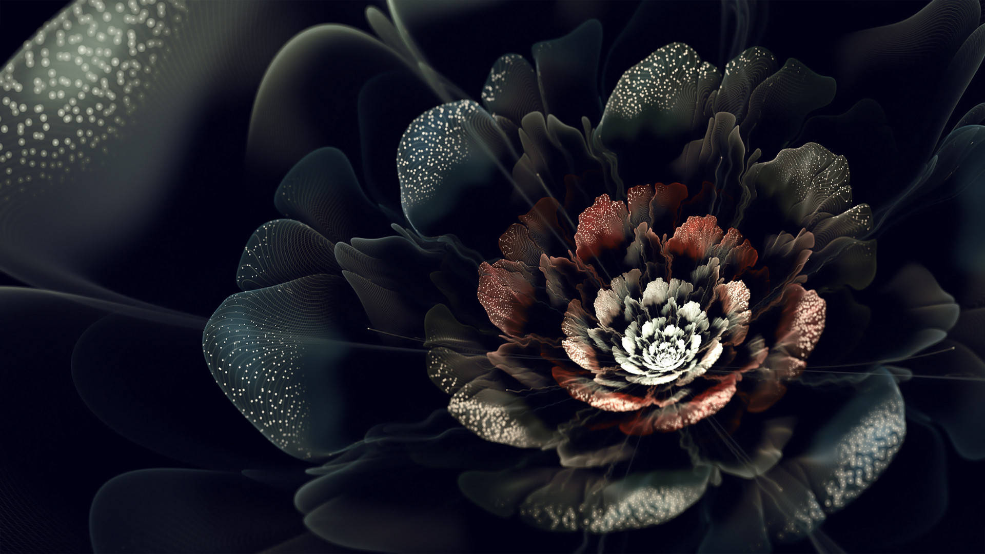 Black Dark Floral Petals Background