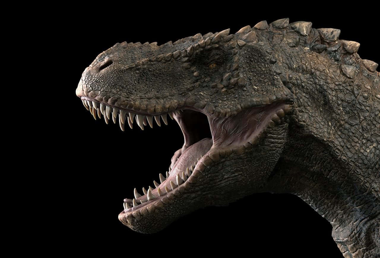 Black Dinosaur T-rex Close-up Background