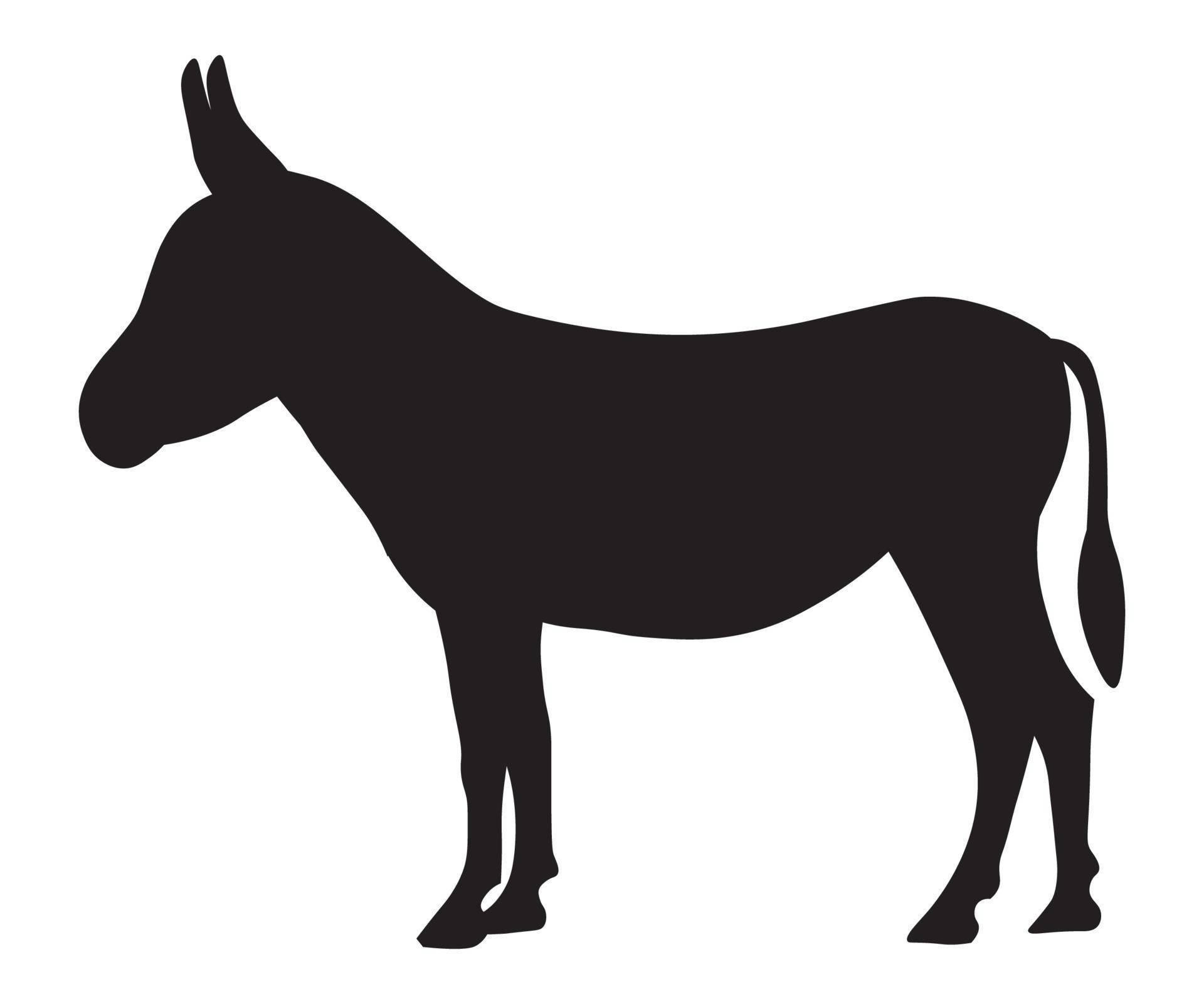 Black Donkey On White Background