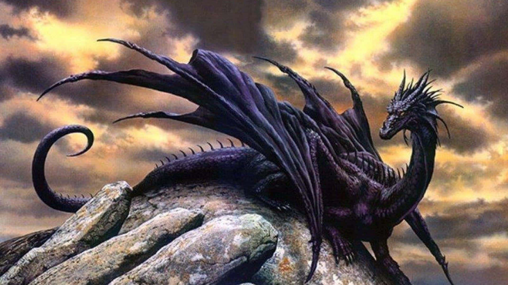 Black Dragon Sitting On A Rock Background