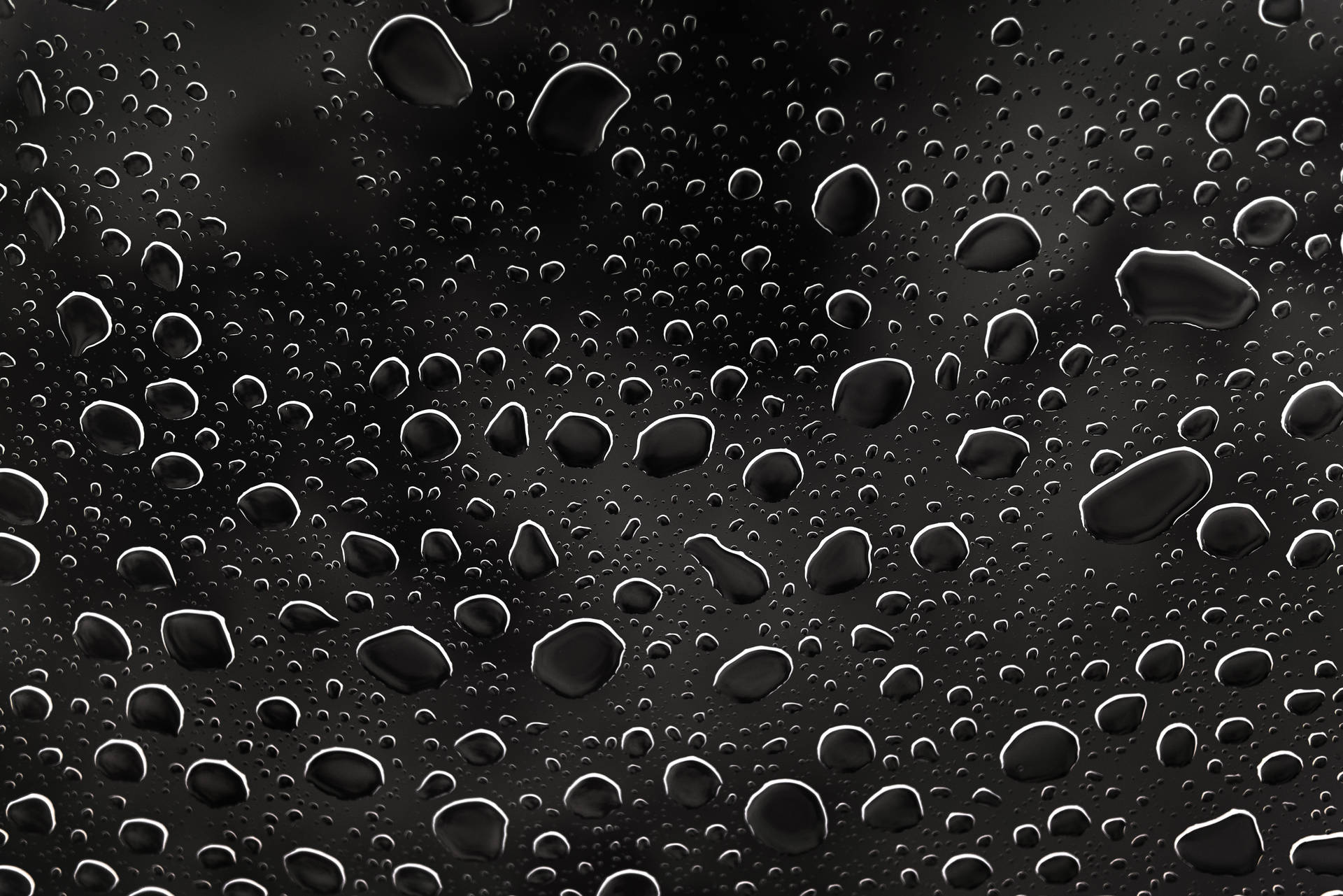 Black Droplets After Raining Background