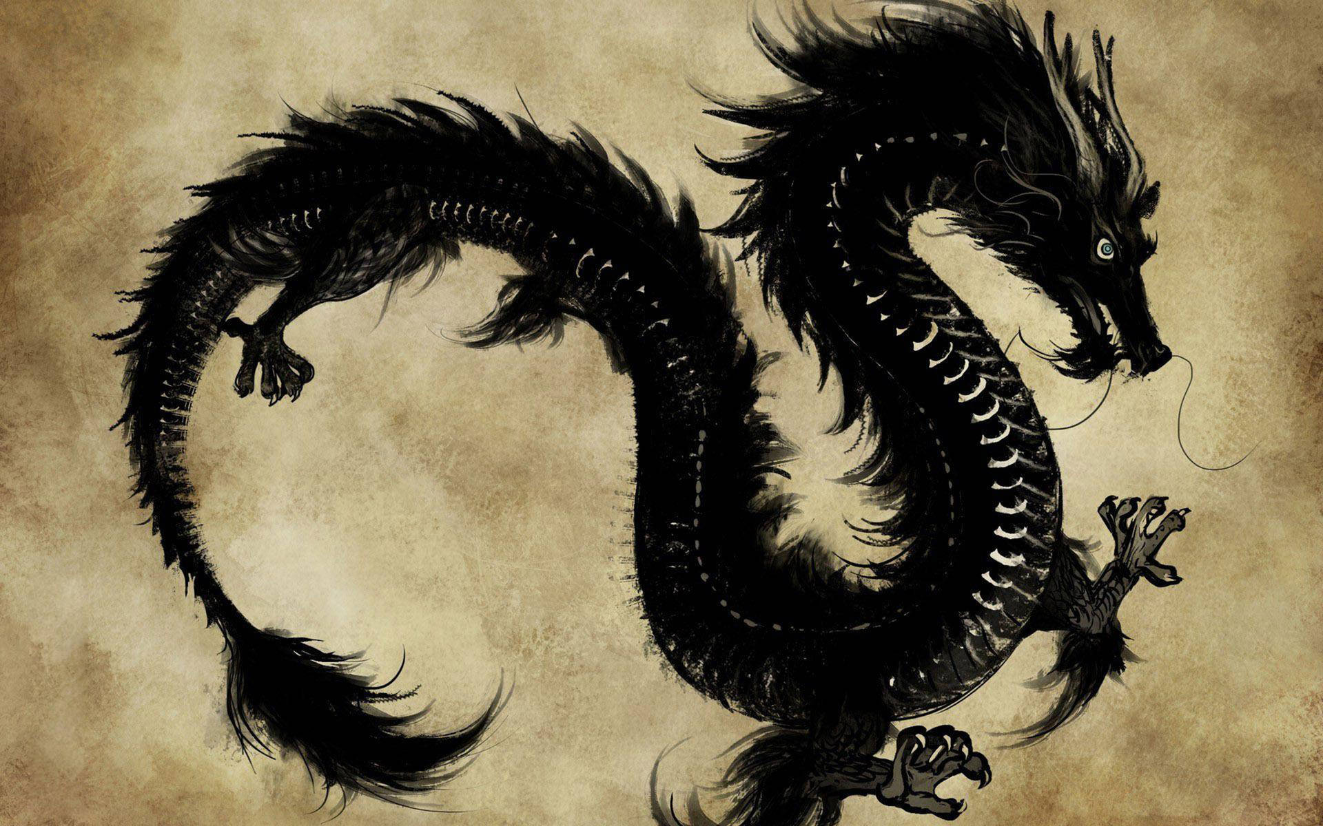 Black Eastern Dragon Background