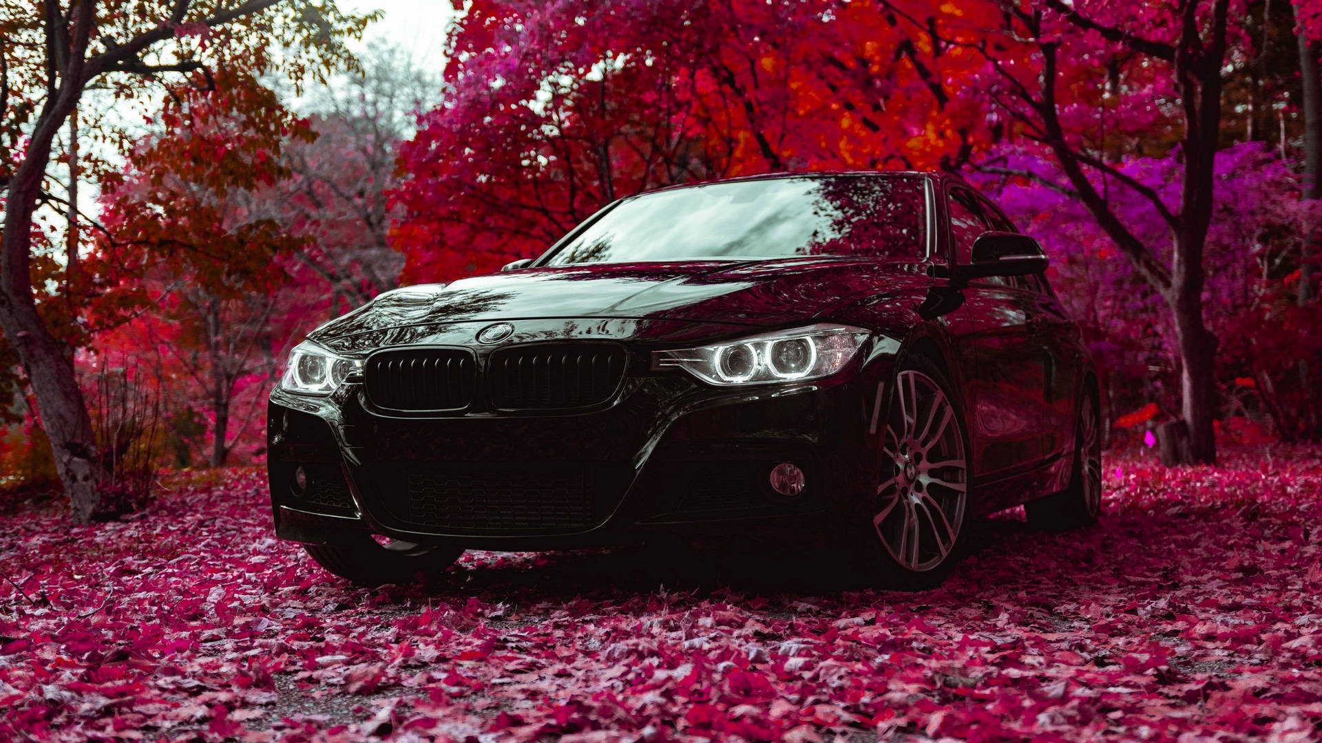 Black F30 Full Hd Bmw Background