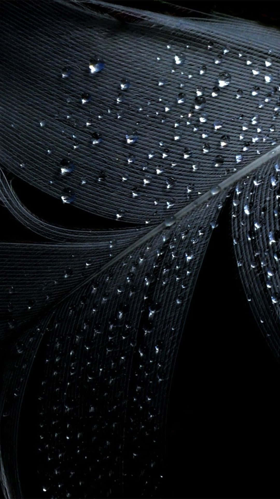 Black Feather Galaxy Note 4 Background