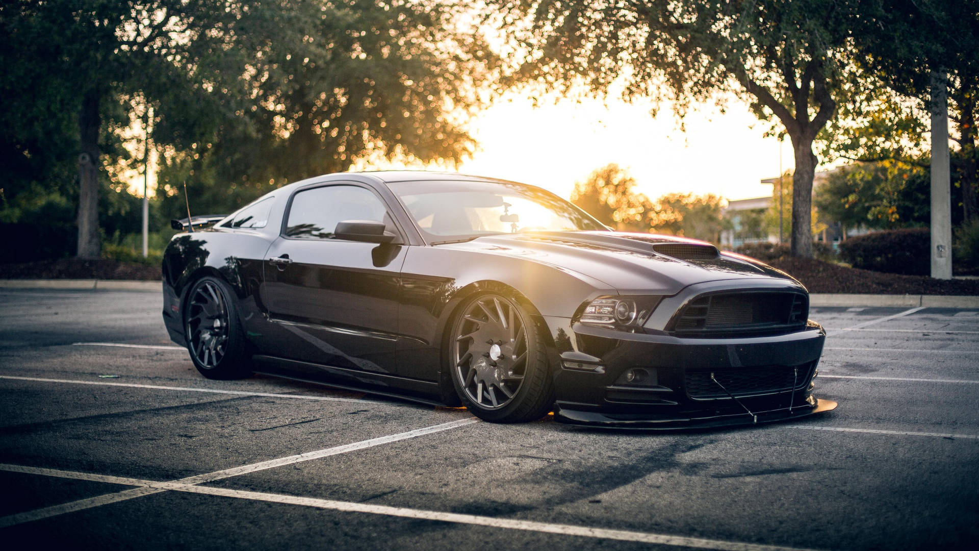 Black Ford Mustang Shelby Background