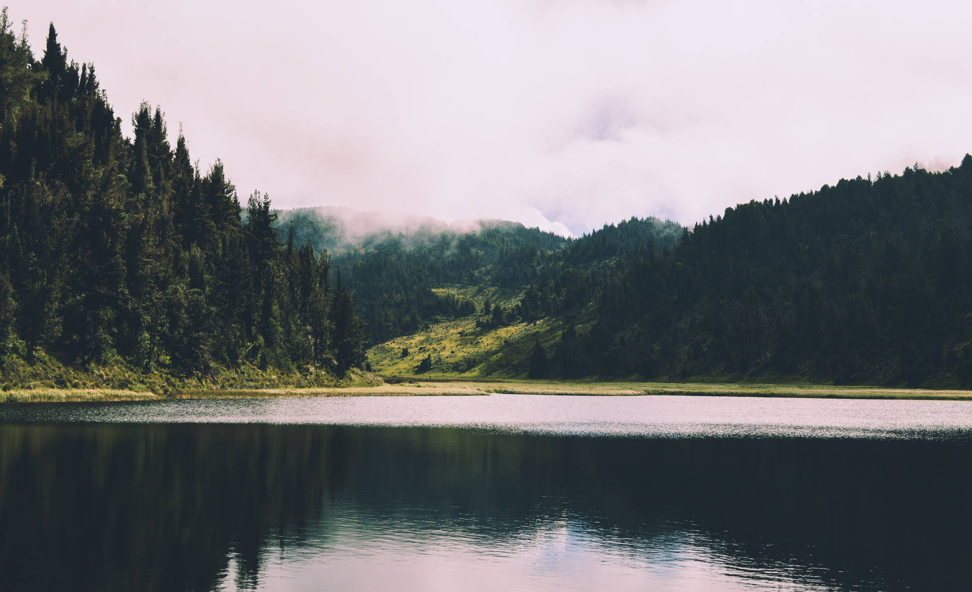 Black Forest Lake Background