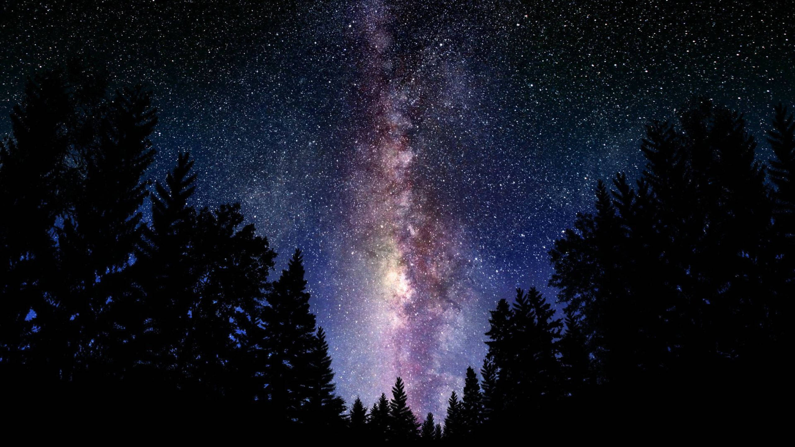 Black Galaxy Milky Way Forest Background