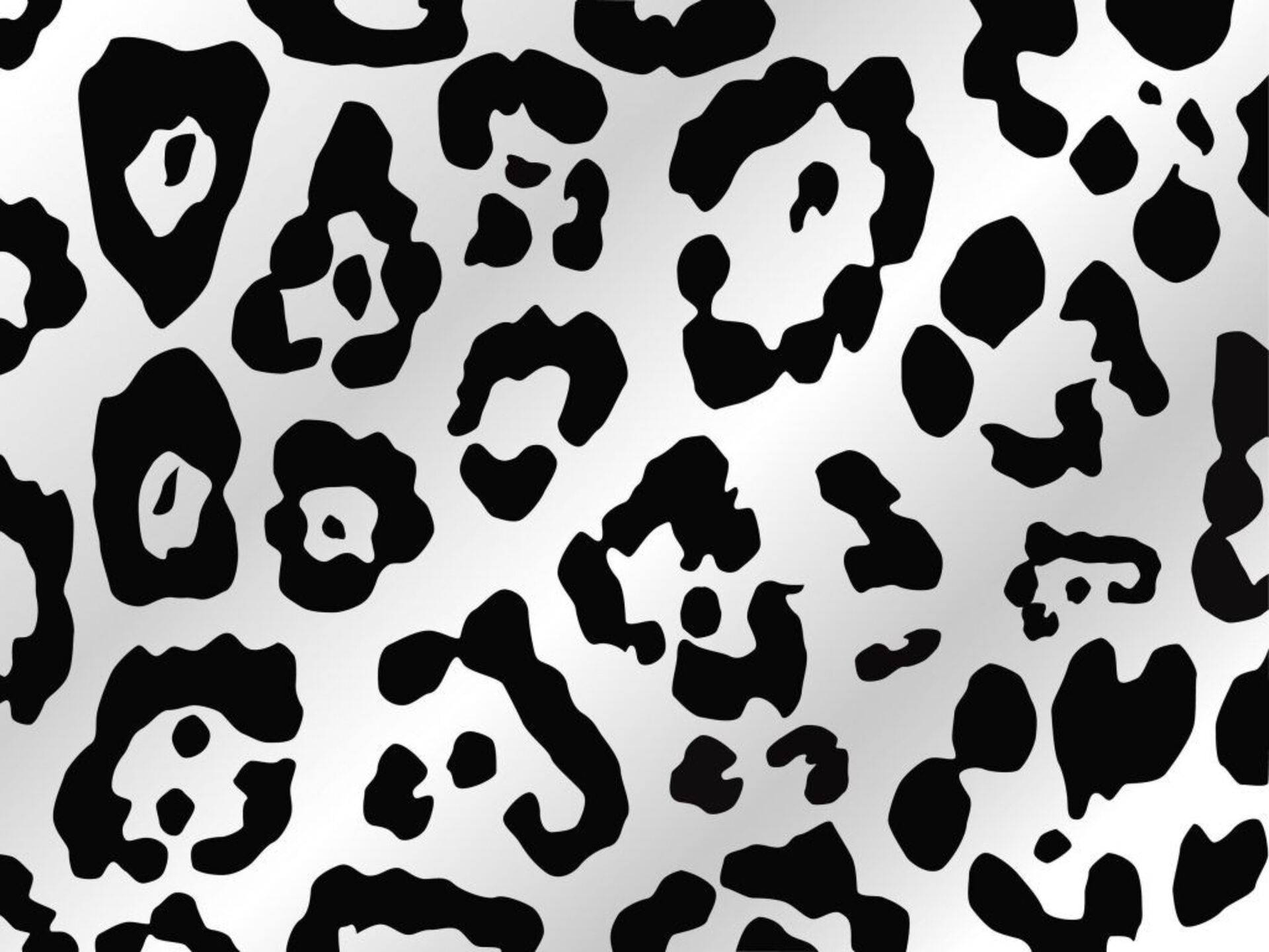 Black Gray Leopard Print