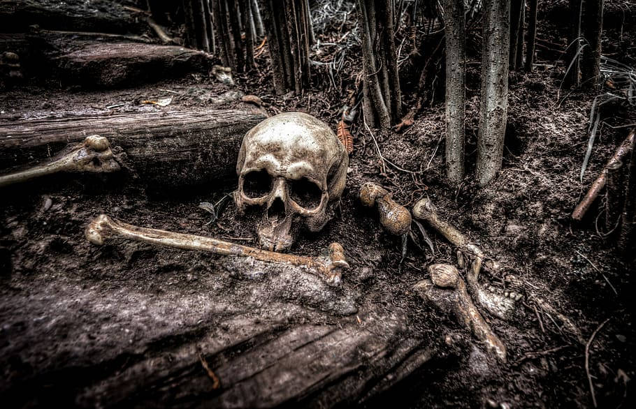 Black Horror Bones In Forest Background