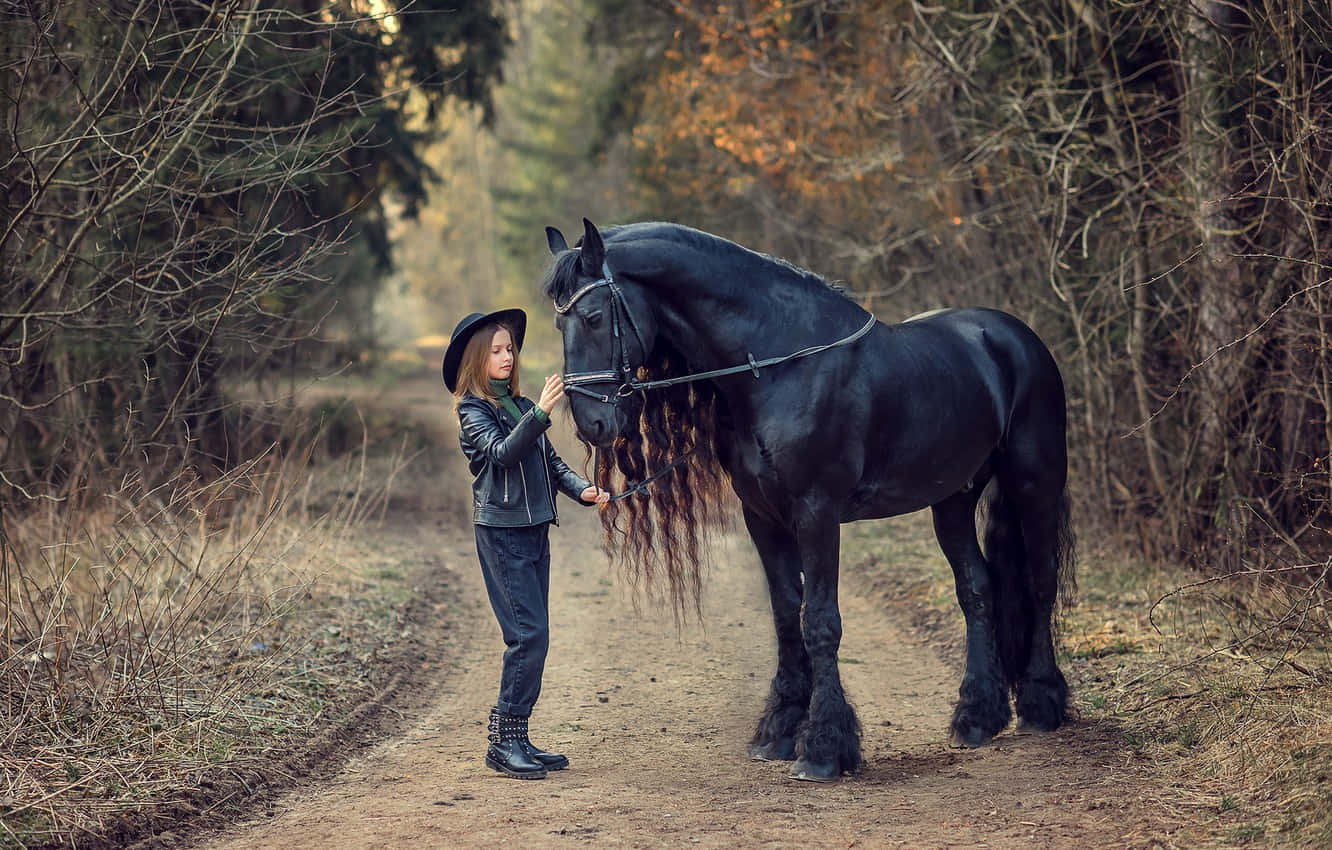 Black Horse Cute Animal Crossing With Woman