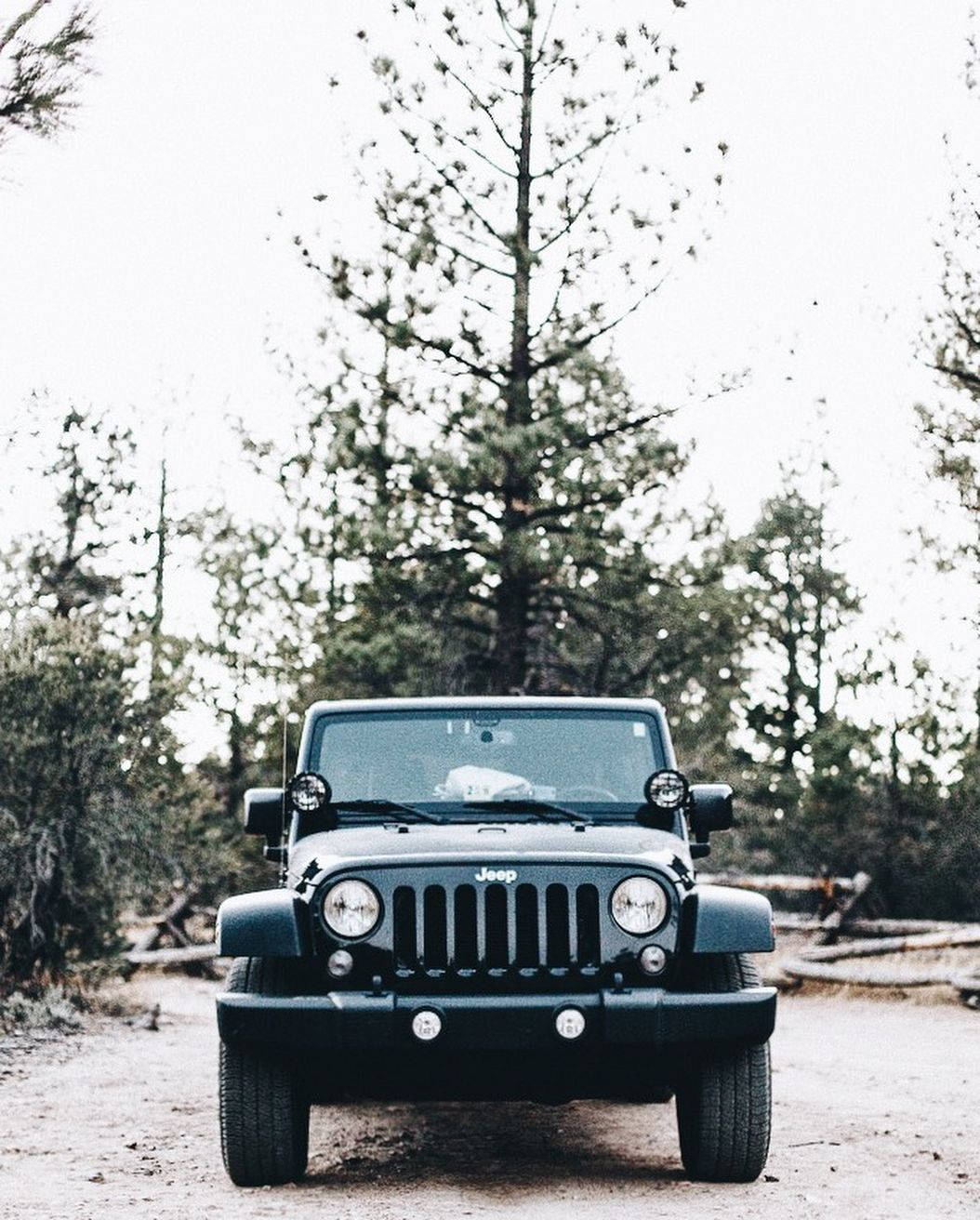 Black Jeep Wrangler With Tall Trees Background