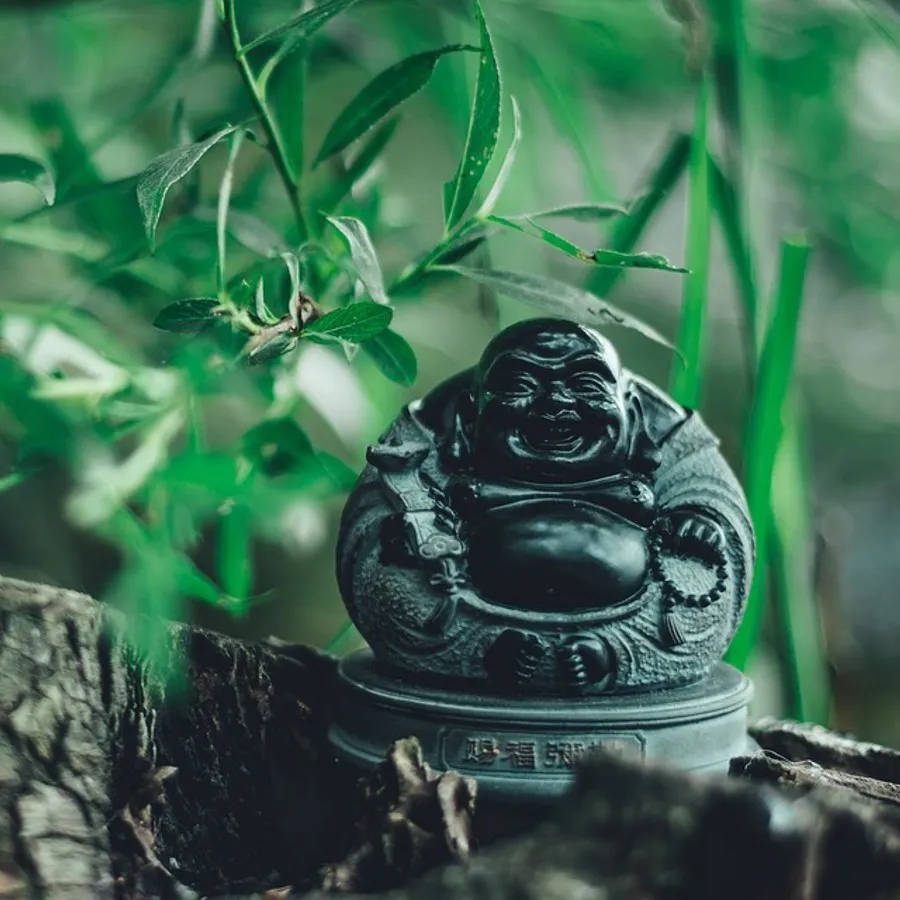 Black Laughing Buddha Figurine Outdoors Background