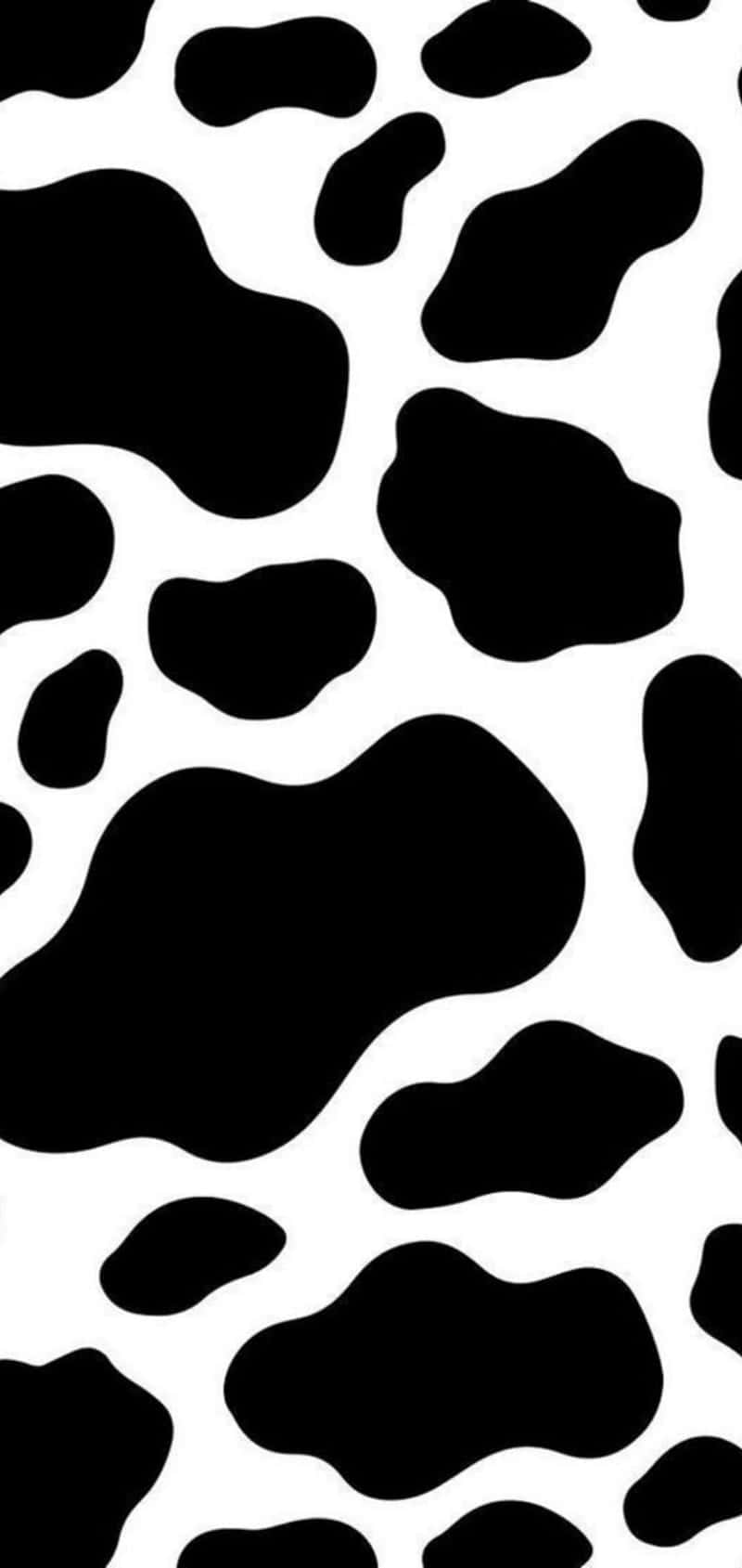 Black Leopard Print Pattern Background