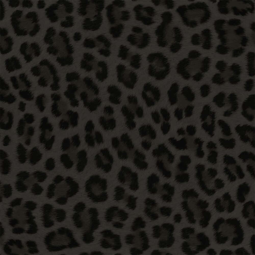 Black Leopard Print Pattern Background