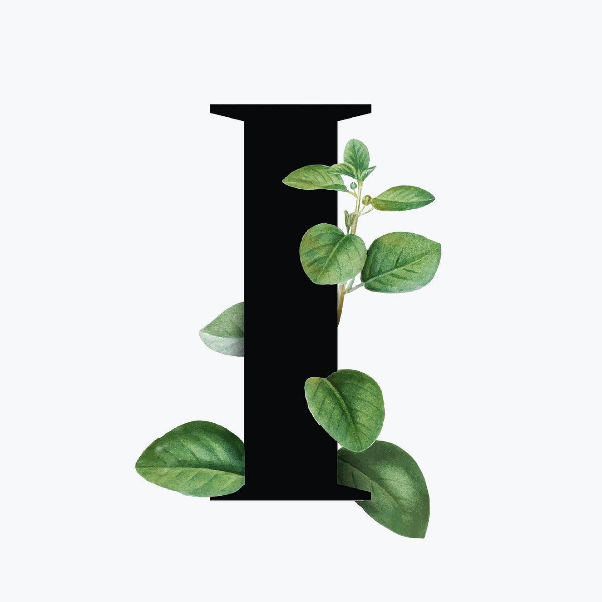 Black Letter I With Plant Background