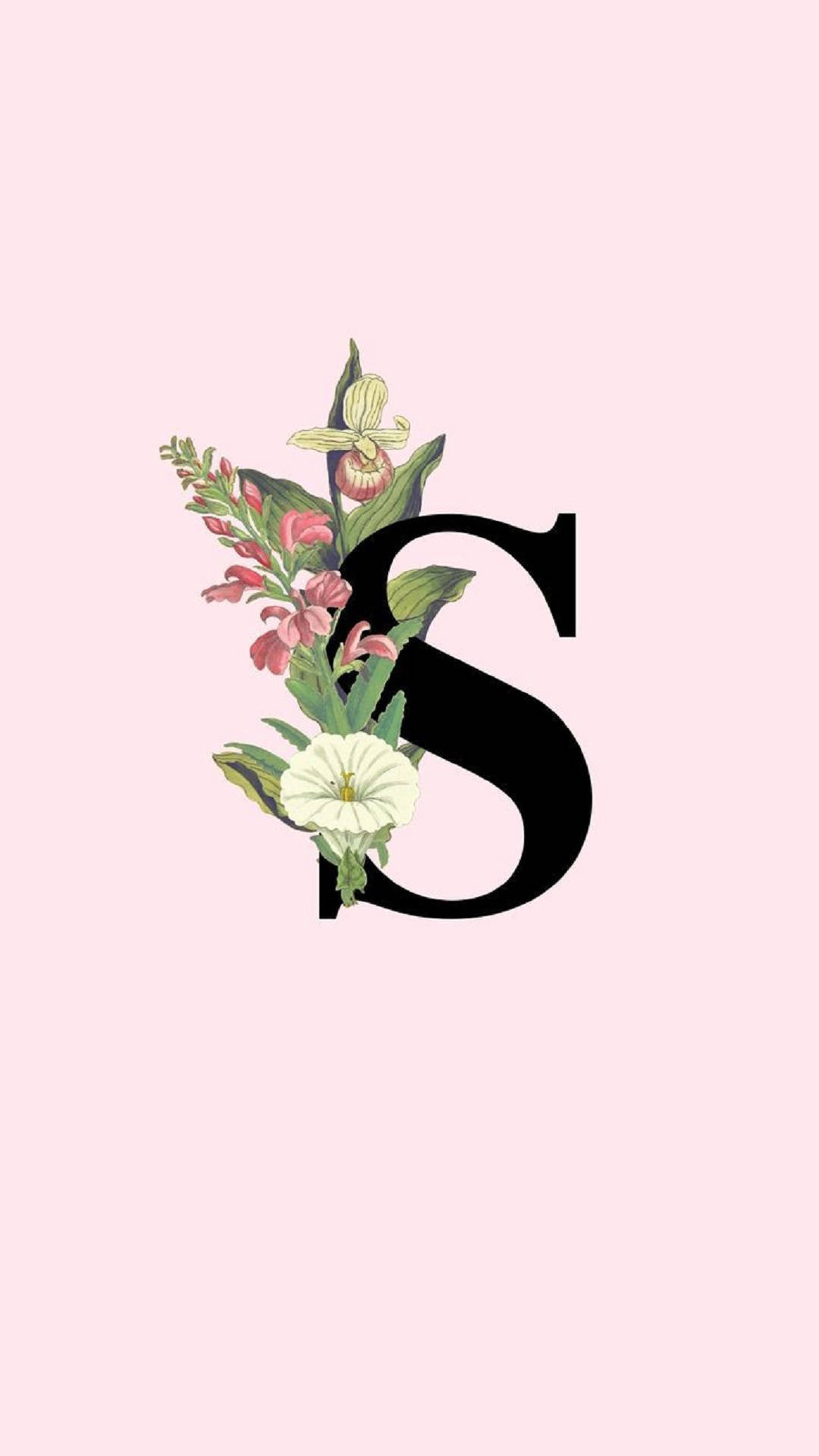 Black Letter S With Flower Background