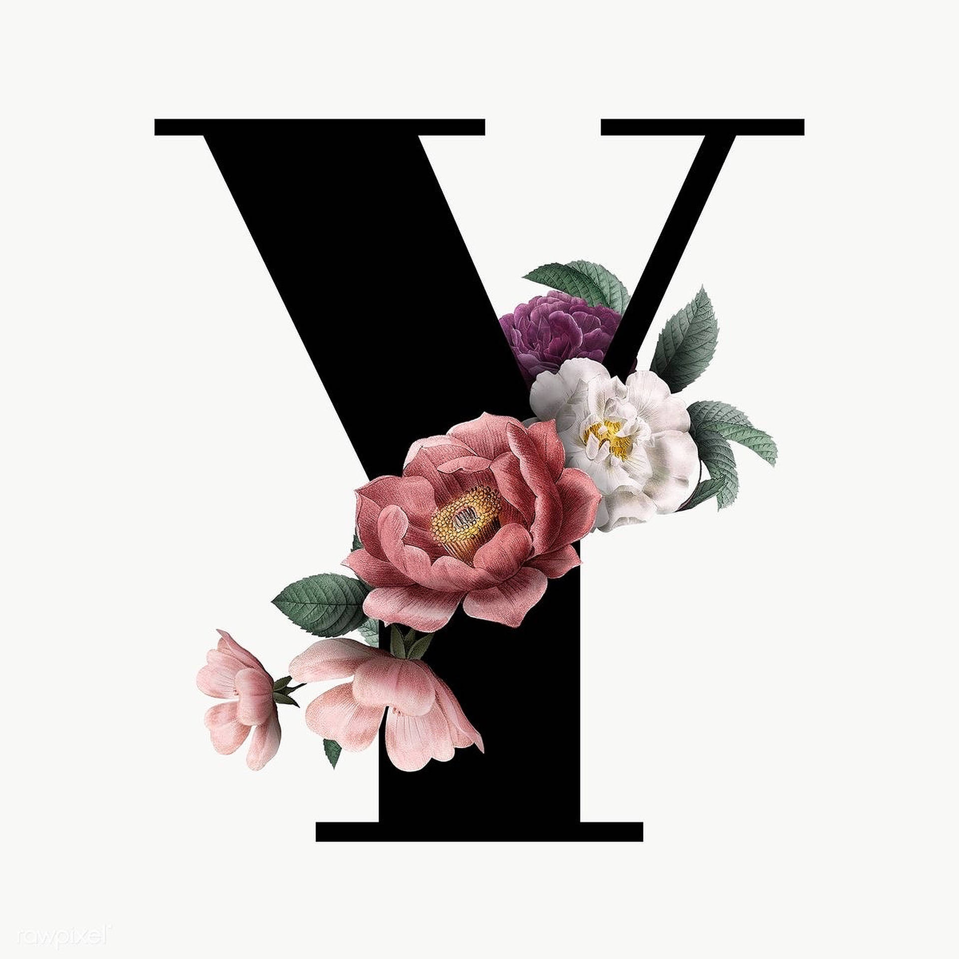 Black Letter Y Background