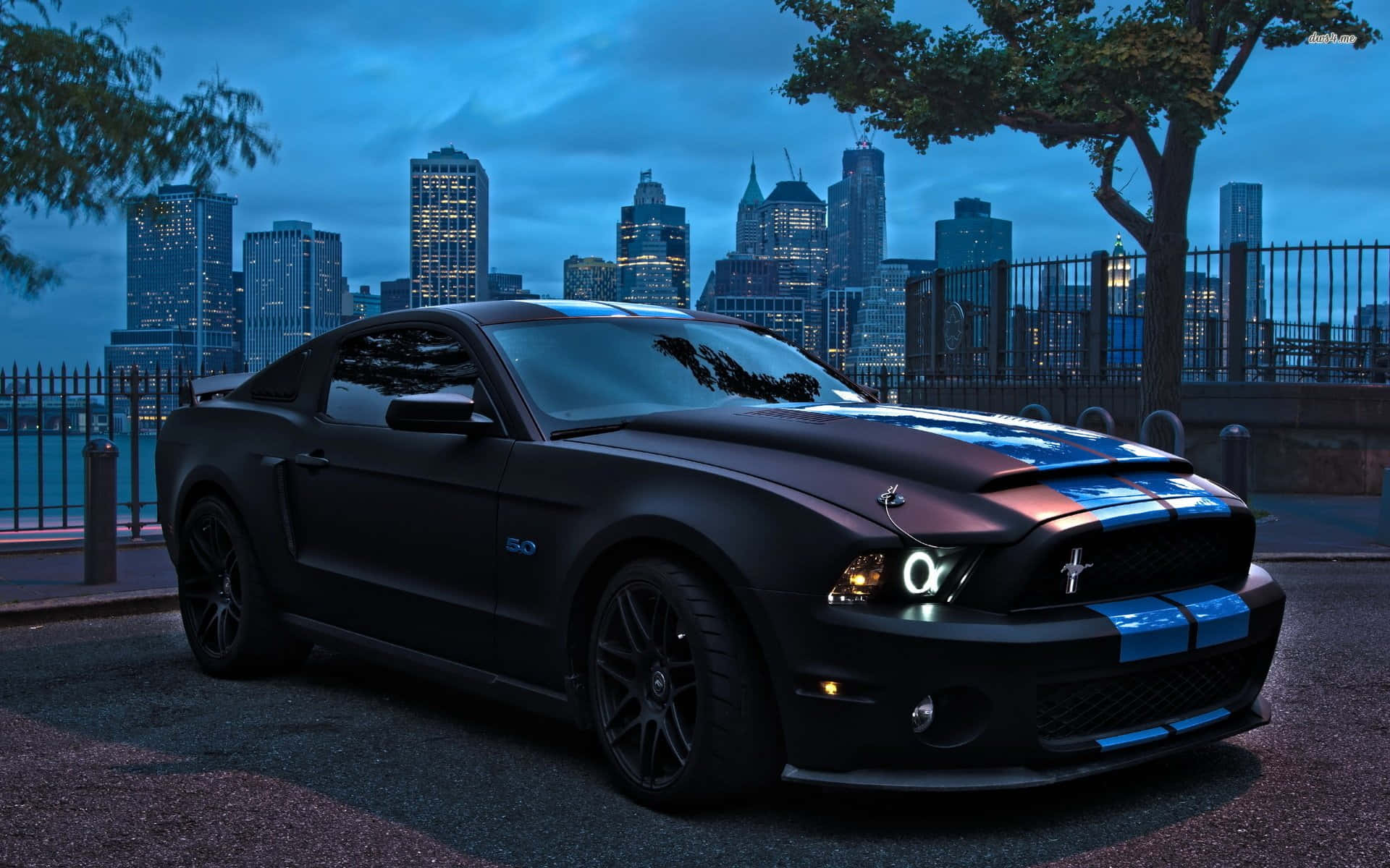 Black Live Car Ford Mustang Background
